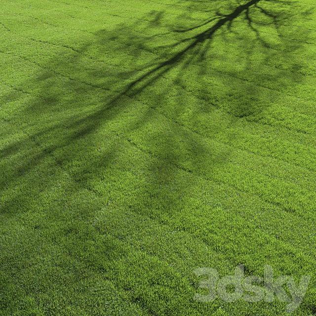 lawn grass 3DS Max Model - thumbnail 2