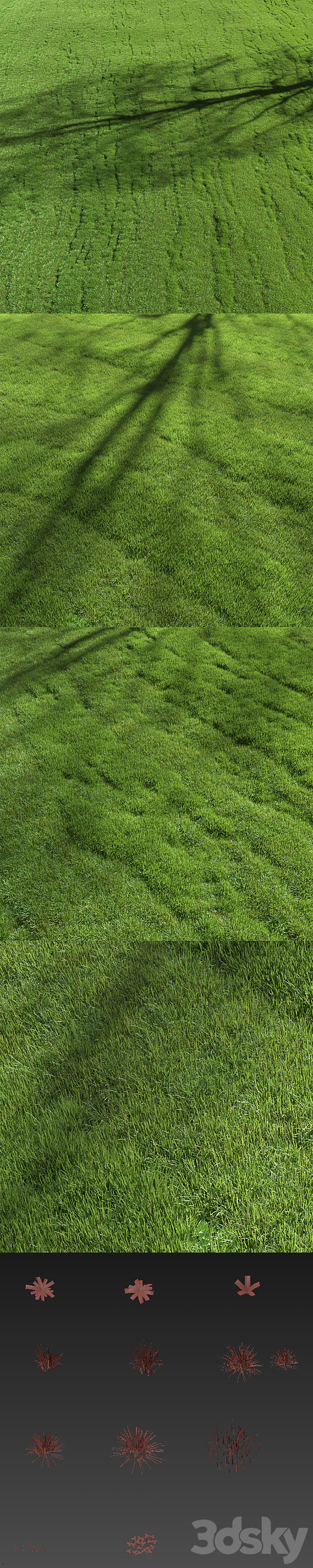 lawn grass 3DS Max Model - thumbnail 4