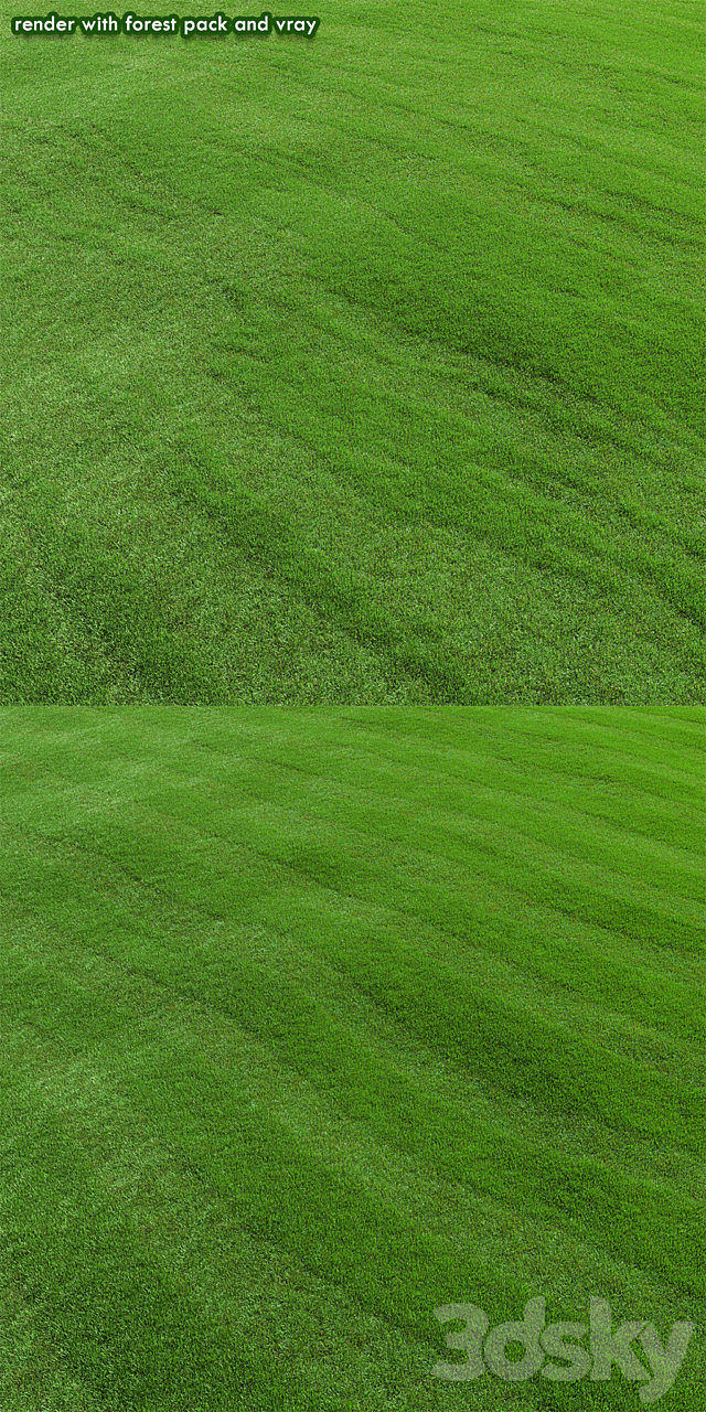 lawn grass 3DS Max Model - thumbnail 5