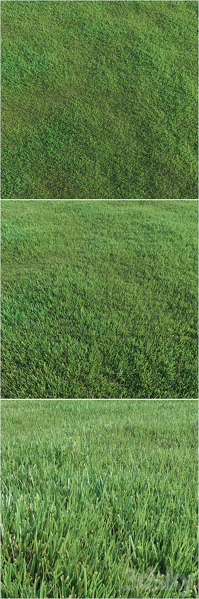 Lawn grass 3DSMax File - thumbnail 2