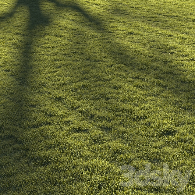 Lawn grass №2 3ds Max - thumbnail 1