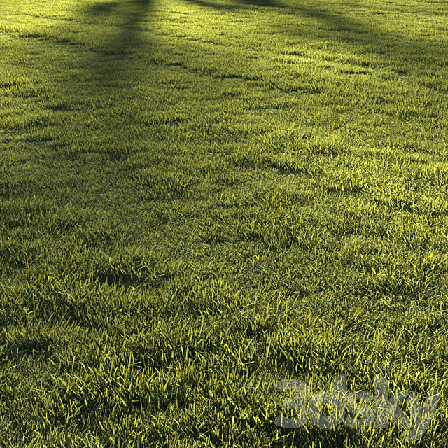 Lawn grass №2 3ds Max - thumbnail 2