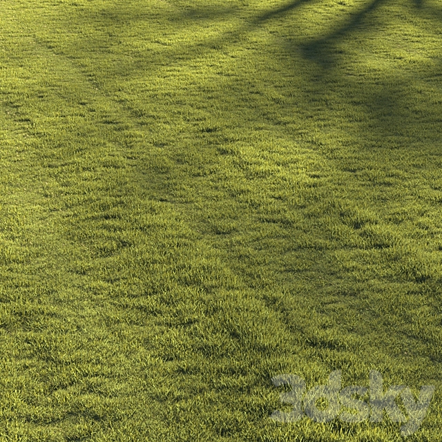 Lawn grass №2 3ds Max - thumbnail 3