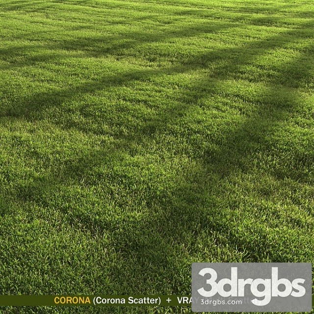 Lawn Landscape 3dsmax Download - thumbnail 1