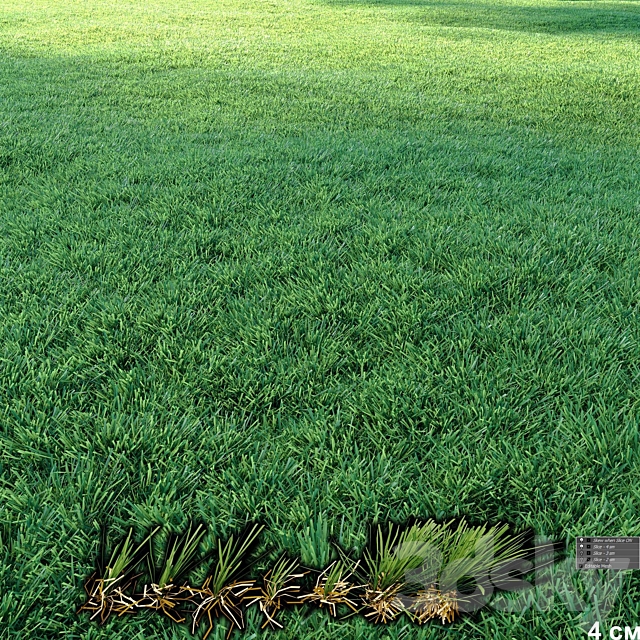 Lawn | Mowed Lawn 3DS Max Model - thumbnail 3