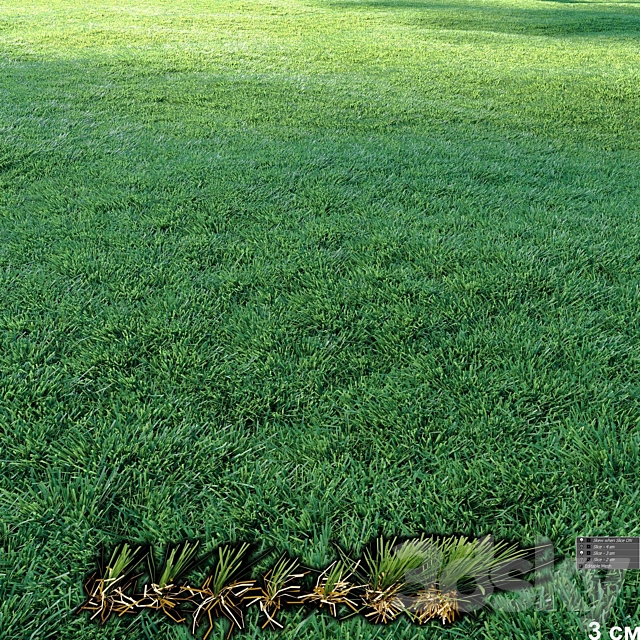 Lawn | Mowed Lawn 3DS Max Model - thumbnail 4