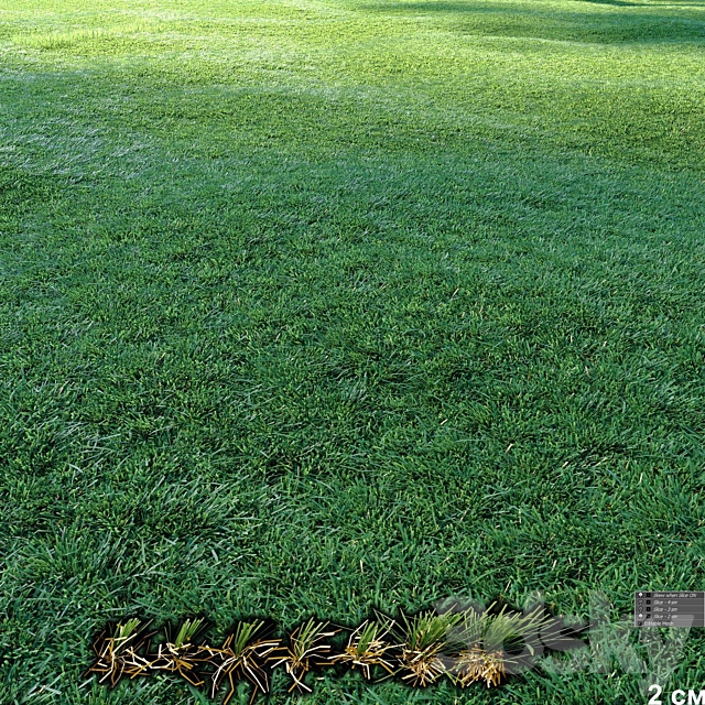 Lawn | Mowed Lawn 3DS Max Model - thumbnail 5