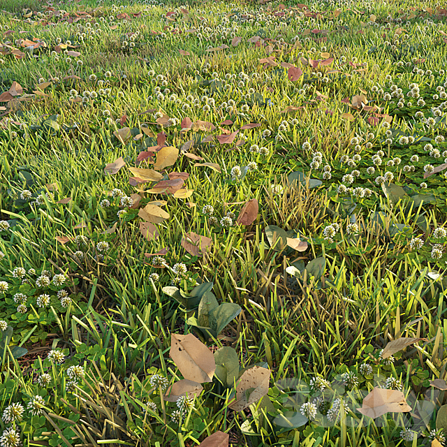 Lawn with clover and dry leaves 3DS Max Model - thumbnail 2