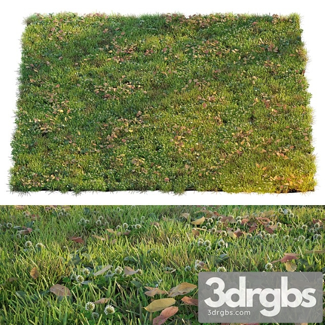 Lawn With Clover and Dry Leaves 3dsmax Download - thumbnail 1