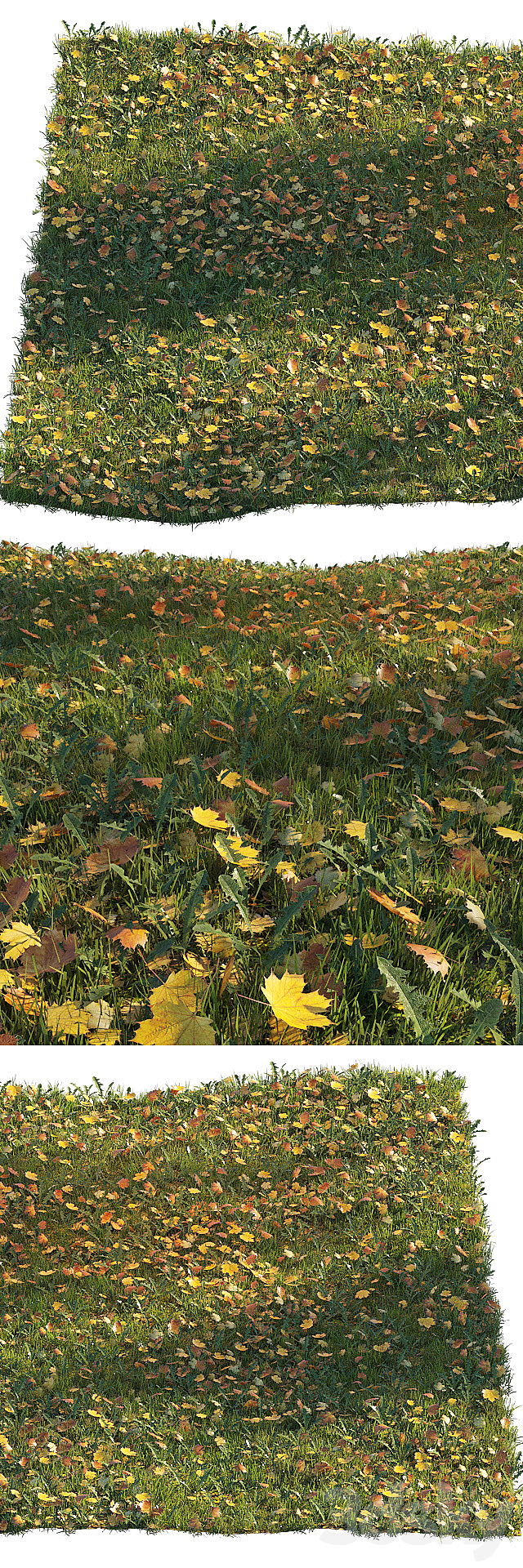 Lawn with dry maple leaves 3DSMax File - thumbnail 2