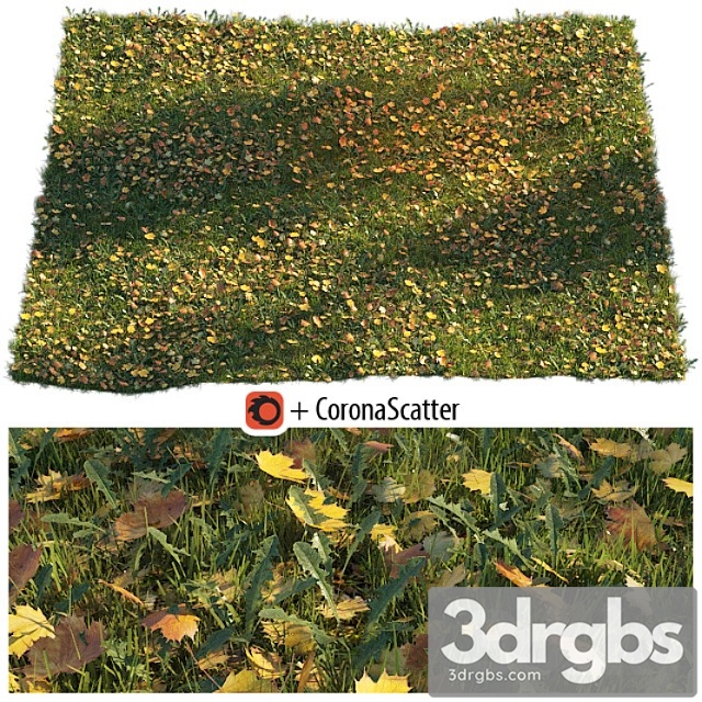 Lawn with dry maple leaves - thumbnail 1