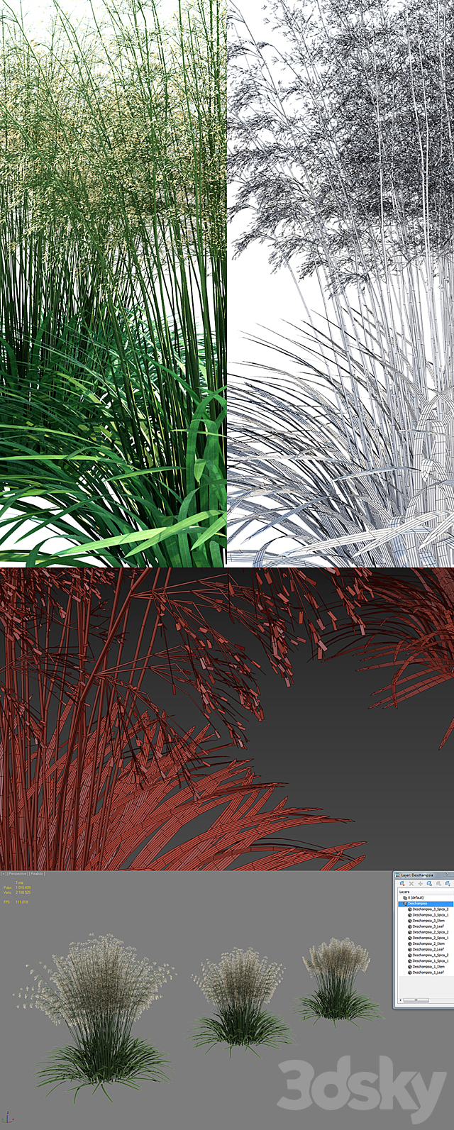 Lugovik turfy (Pike) | Deschampsia cespitosa 3DS Max Model - thumbnail 2