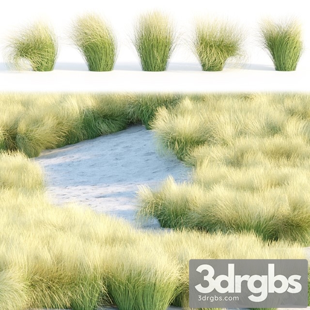 Maram Grass Collection Vol 155 3dsmax Download - thumbnail 1