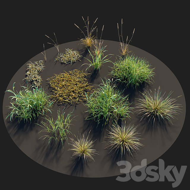 Meadow 09 3DS Max Model - thumbnail 4