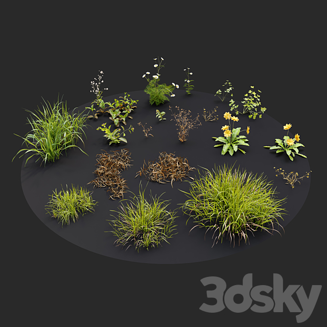 Meadow 3 3DS Max Model - thumbnail 3