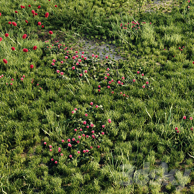 Meadow grass 2 3DSMax File - thumbnail 2