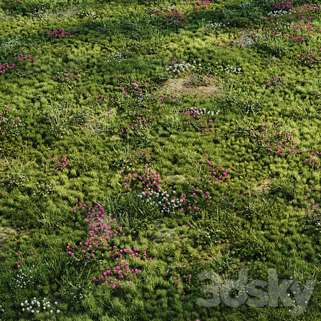 Meadow grass 3DS Max Model - thumbnail 1