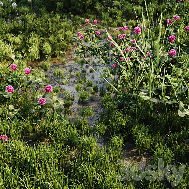 Meadow grass 3DS Max Model - thumbnail 2