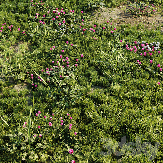 Meadow grass 3DS Max Model - thumbnail 4