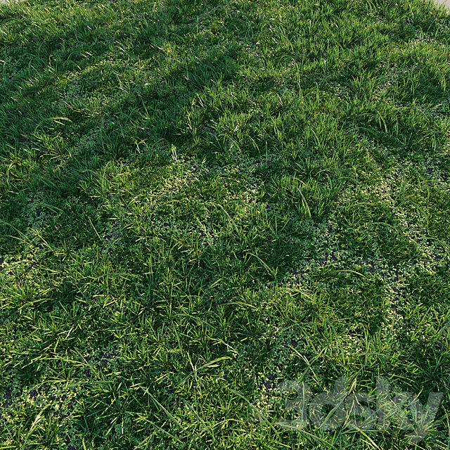 Meadow grass 3DS Max Model - thumbnail 3