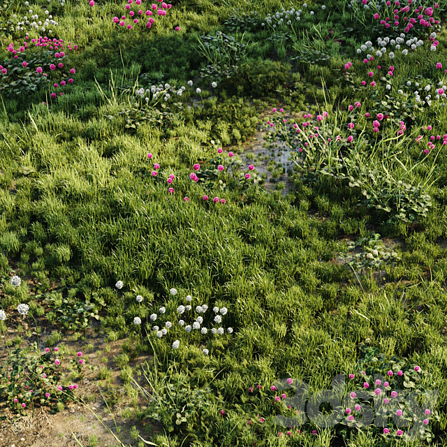 Meadow grass 3DSMax File - thumbnail 3