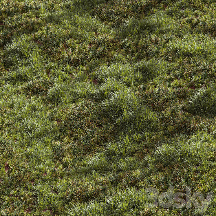 Meadow Lawn Grassland Set 002 3DS Max Model - thumbnail 1