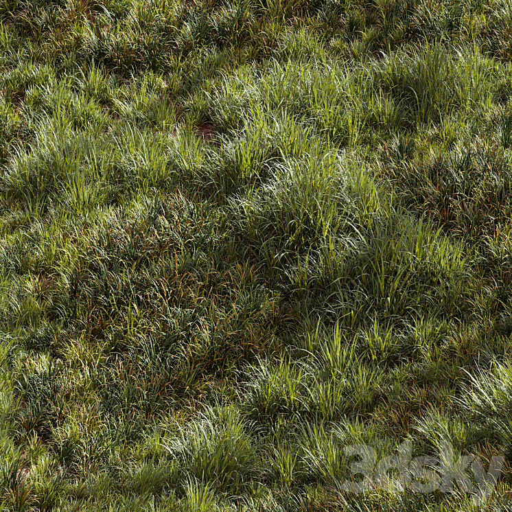 Meadow Lawn Grassland Set 002 3DS Max Model - thumbnail 2