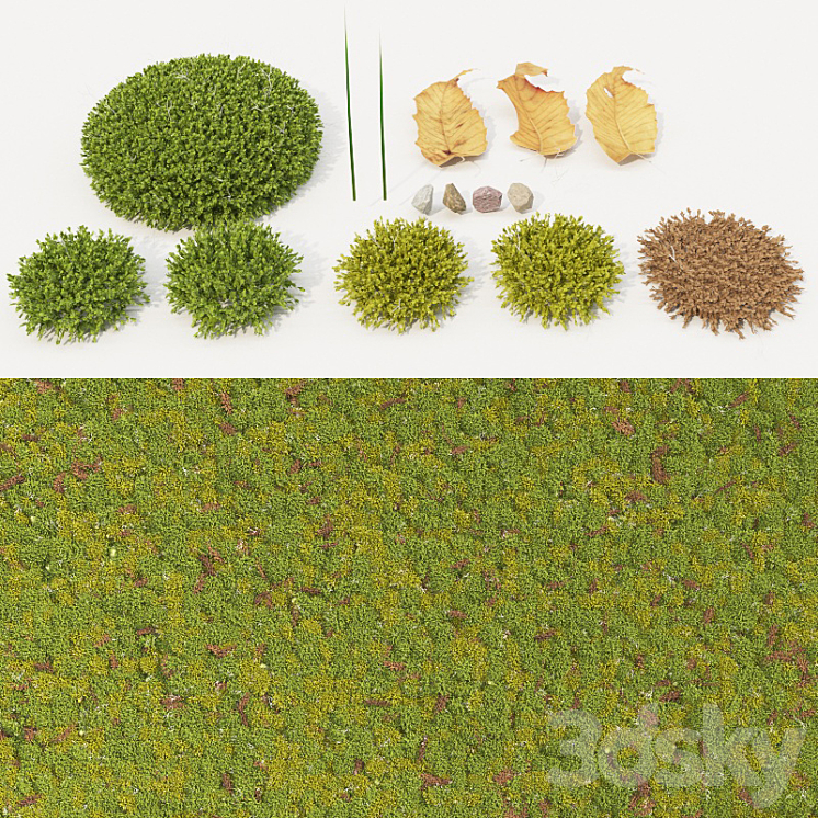 moss_collection 3DS Max - thumbnail 1