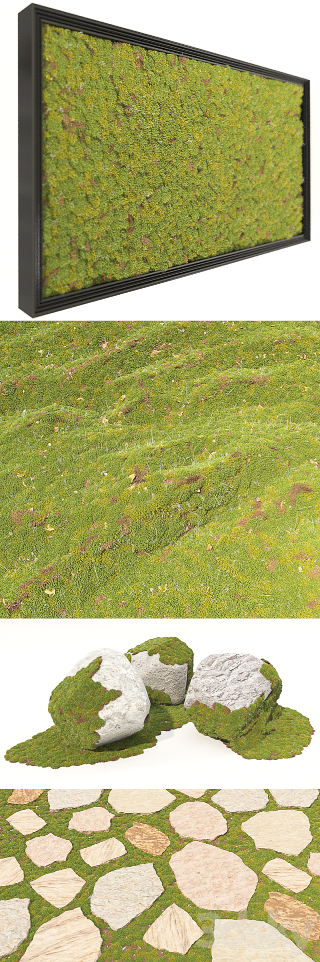 moss_collection 3DSMax File - thumbnail 2