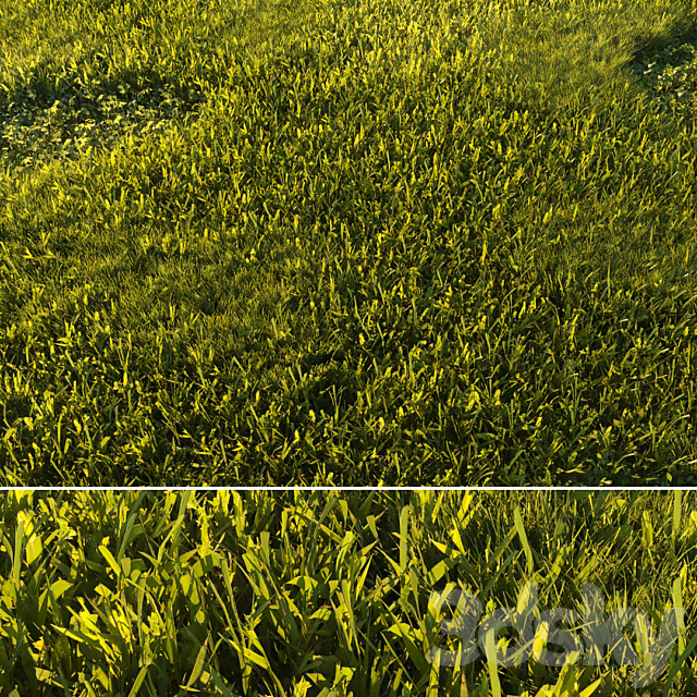 Mowed Lawn 01 3ds Max - thumbnail 1