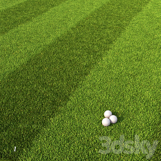 Mowed Lawn 3DS Max Model - thumbnail 2