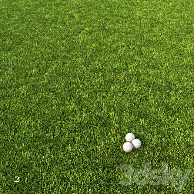 Mowed Lawn 3DS Max Model - thumbnail 3