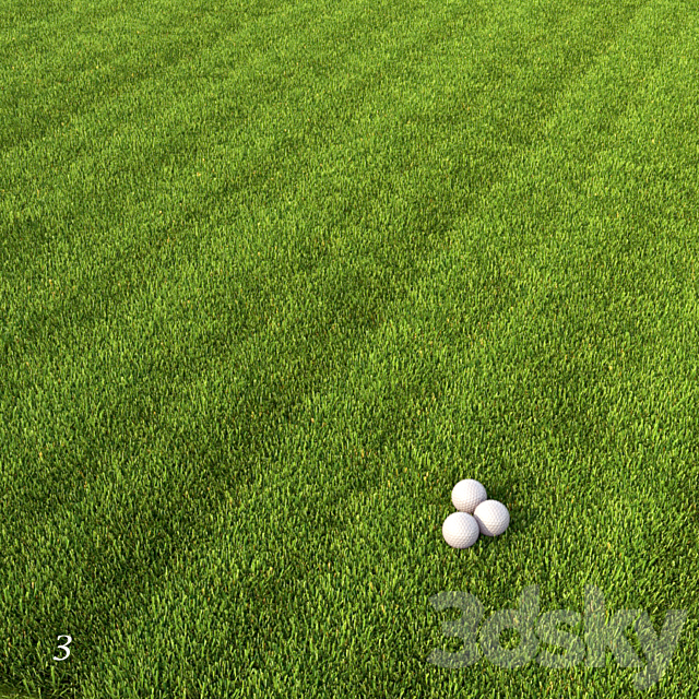 Mowed Lawn 3DS Max Model - thumbnail 4