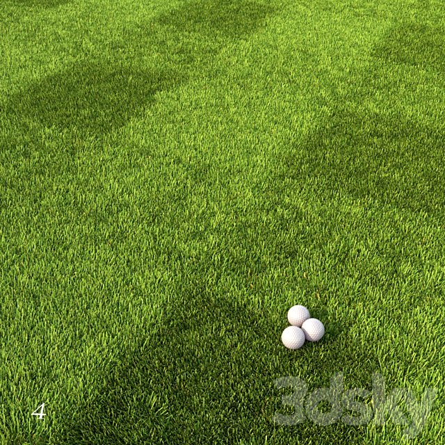 Mowed Lawn 3DS Max Model - thumbnail 5