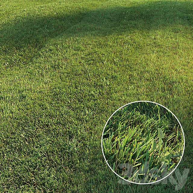 Mowed lawn 3DS Max Model - thumbnail 1