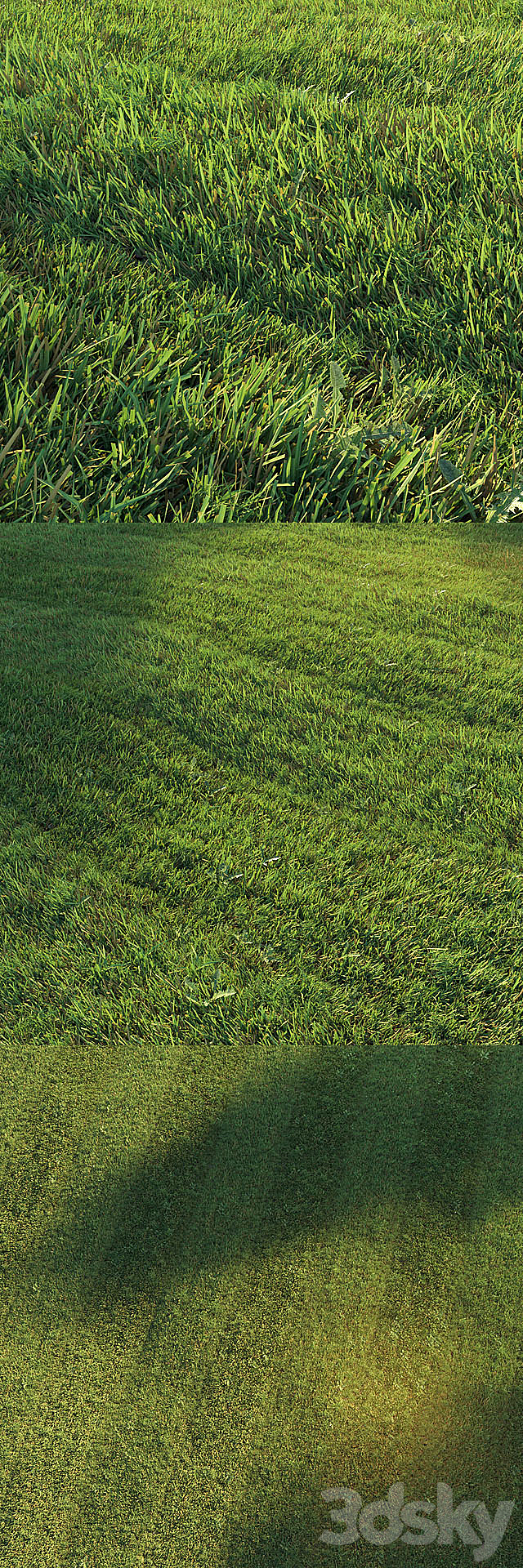 Mowed lawn 3DS Max Model - thumbnail 2