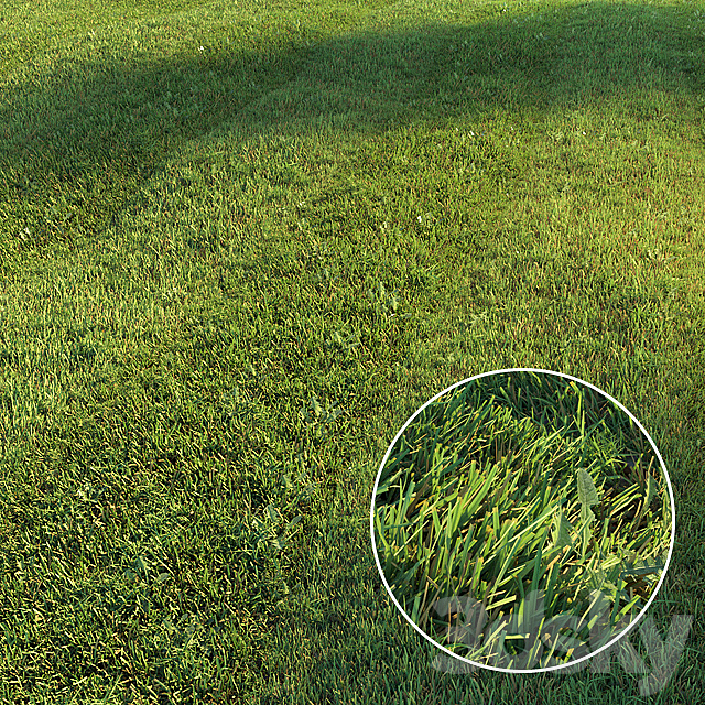 Mowed lawn 3DSMax File - thumbnail 1