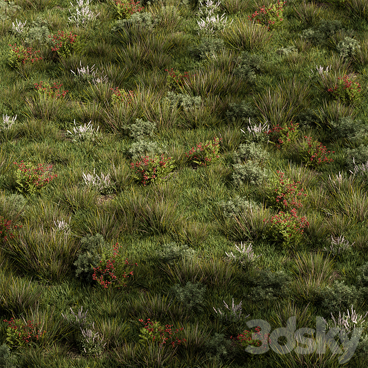 Nature Meadow – Grass Set 17 3DS Max Model - thumbnail 2