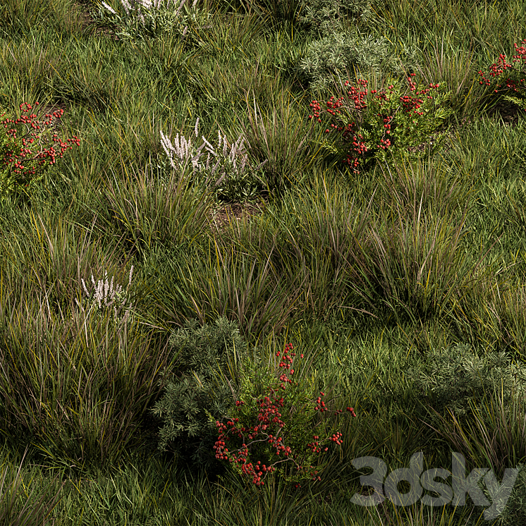 Nature Meadow – Grass Set 17 3DS Max - thumbnail 1