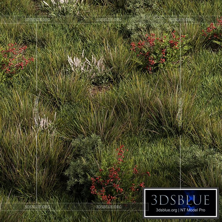 Nature Meadow – Grass Set 17 3DS Max - thumbnail 3