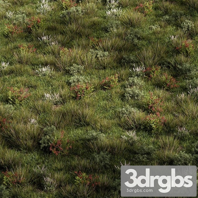 Nature Meadow Grass Set 17 3dsmax Download - thumbnail 1