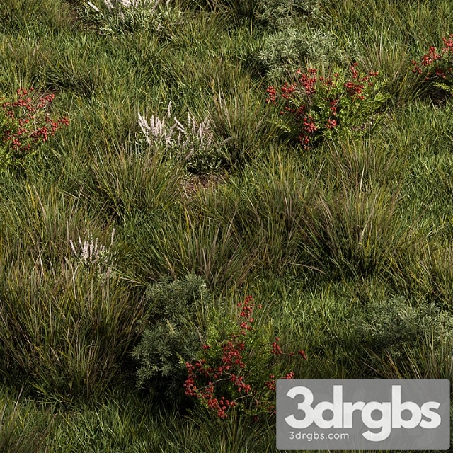 Nature meadow – grass set 17 - thumbnail 1
