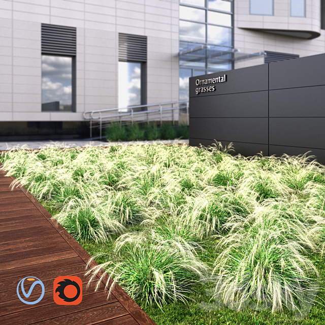 Ornamental grass 3ds Max - thumbnail 2