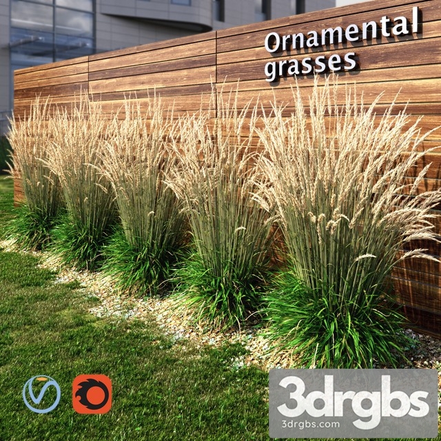 Ornamental Grass Dry 3dsmax Download - thumbnail 1