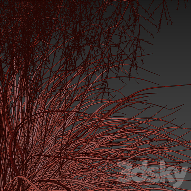 Pike turfy Lugovik | Deschampsia cespitosa goldtau 3DS Max Model - thumbnail 3