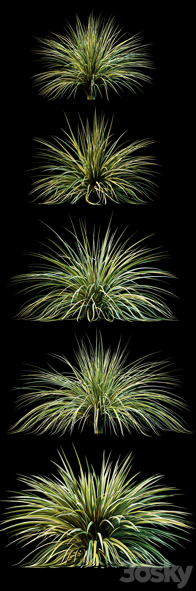 Plants for exterior v3 3DS Max Model - thumbnail 2