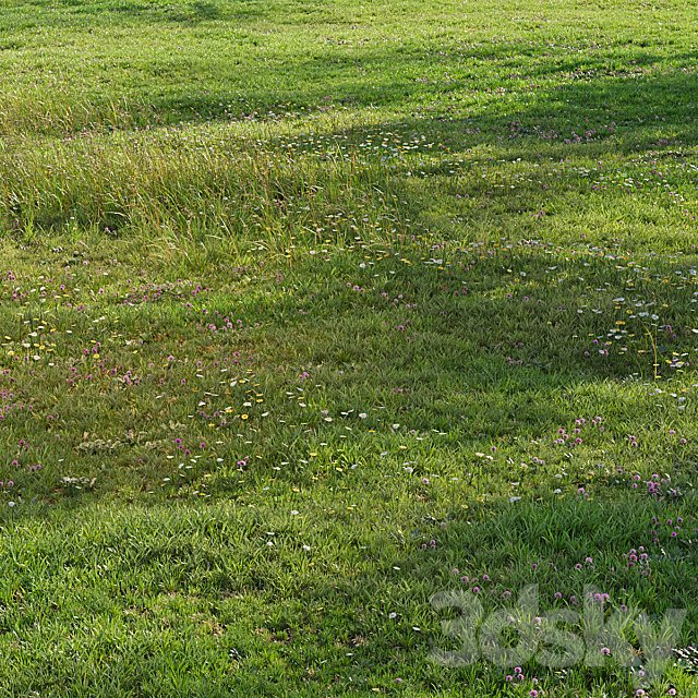 Realistic meadow grass 3ds Max - thumbnail 1