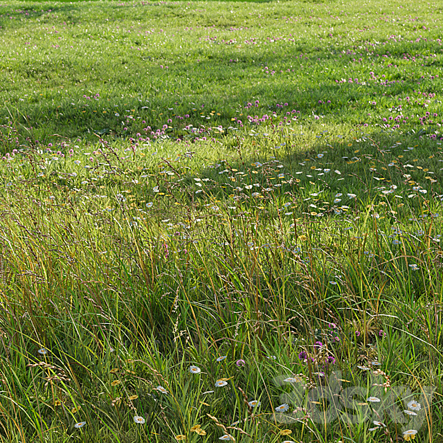 Realistic meadow grass 3ds Max - thumbnail 2