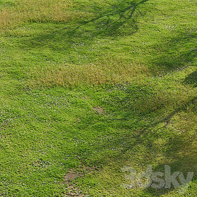 Realistic meadow grass 3ds Max - thumbnail 3