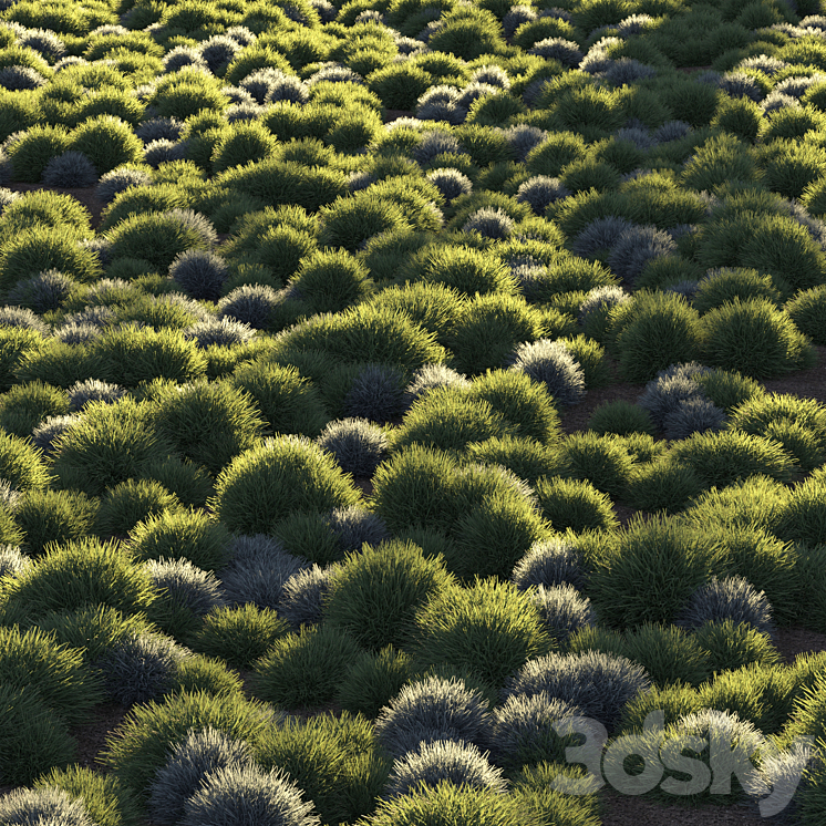 Round grass 3DS Max - thumbnail 1